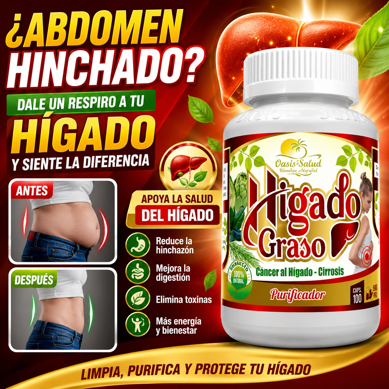 Hígado Graso Purificador